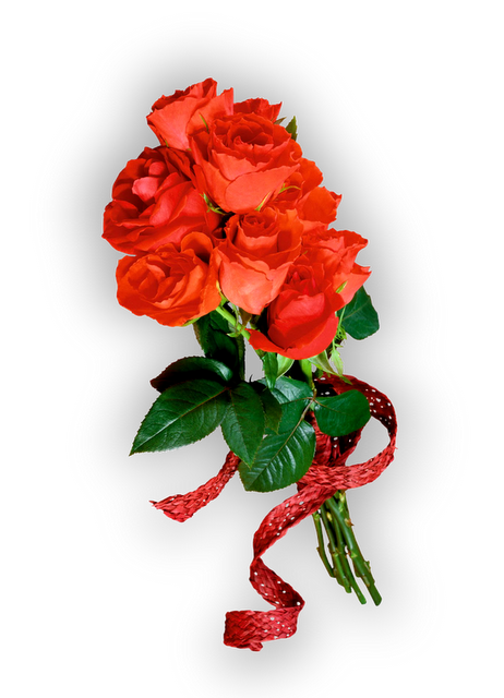  photo rosas_rojas_png.png