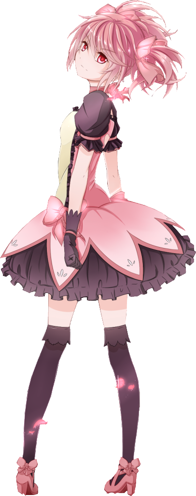 fairy tail fairy tail