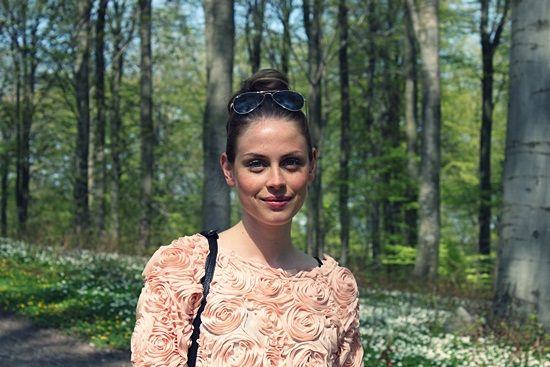 photo IMG_8669_zpsbc6f49c9.jpg