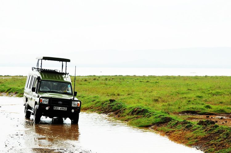  photo 5-travels-kenya-safari-nakuru-kenia-macarena_gea_zps4c5f7d1e.jpeg