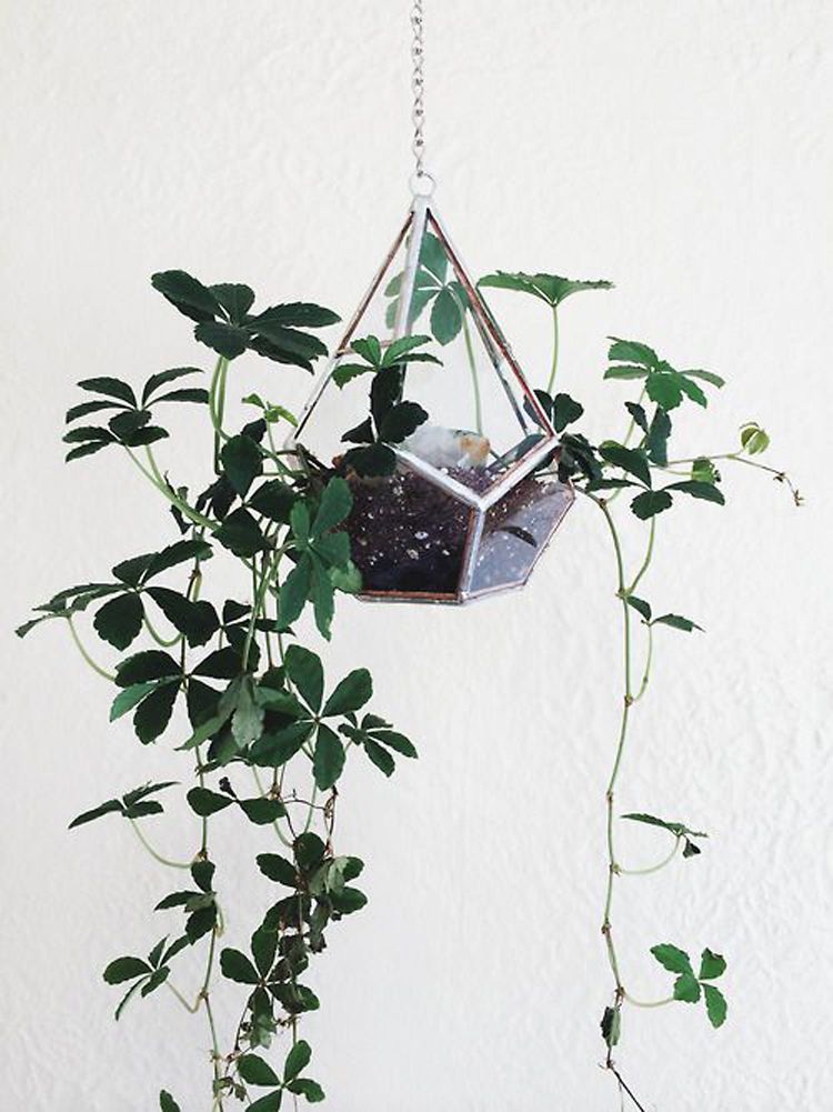  photo 10-decorar-plantas-ideas-verde-casa-decoracion-vegetacion_zpsqylc2nkr.jpg