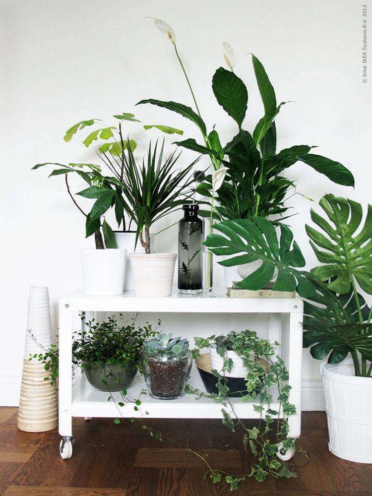 photo 14-decorar-plantas-ideas-verde-casa-decoracion-vegetacion_zpsdswthitq.jpg