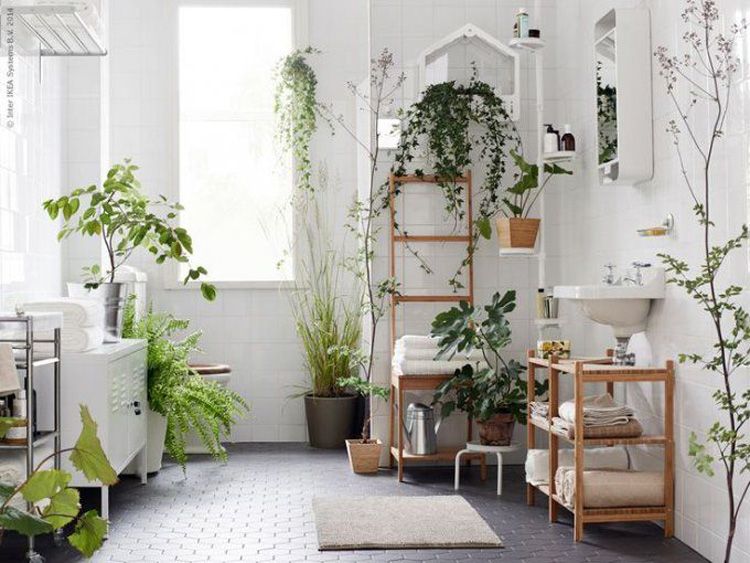 photo 16-decorar-plantas-ideas-verde-casa-decoracion-vegetacion_zpslz1x79ki.jpg