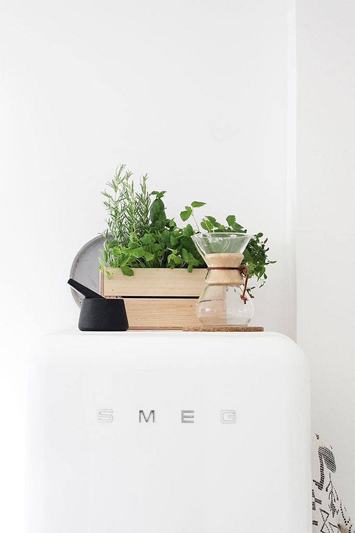 photo 19-decorar-plantas-ideas-verde-casa-decoracion-vegetacion_zpsjzyr1qft.jpg