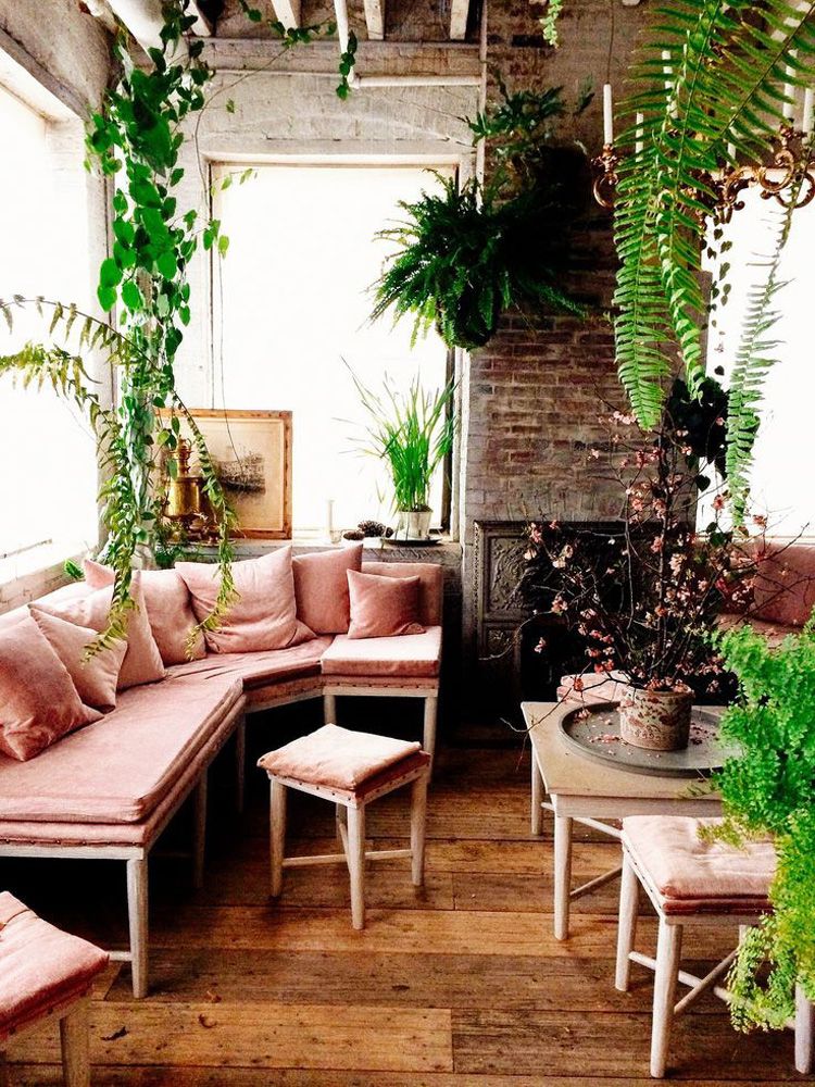  photo 22-decorar-plantas-ideas-verde-casa-decoracion-vegetacion_zps9msh6rnx.jpg