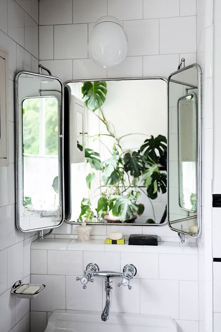 photo 24-decorar-plantas-ideas-verde-casa-decoracion-vegetacion_zpsquupafrt.jpg