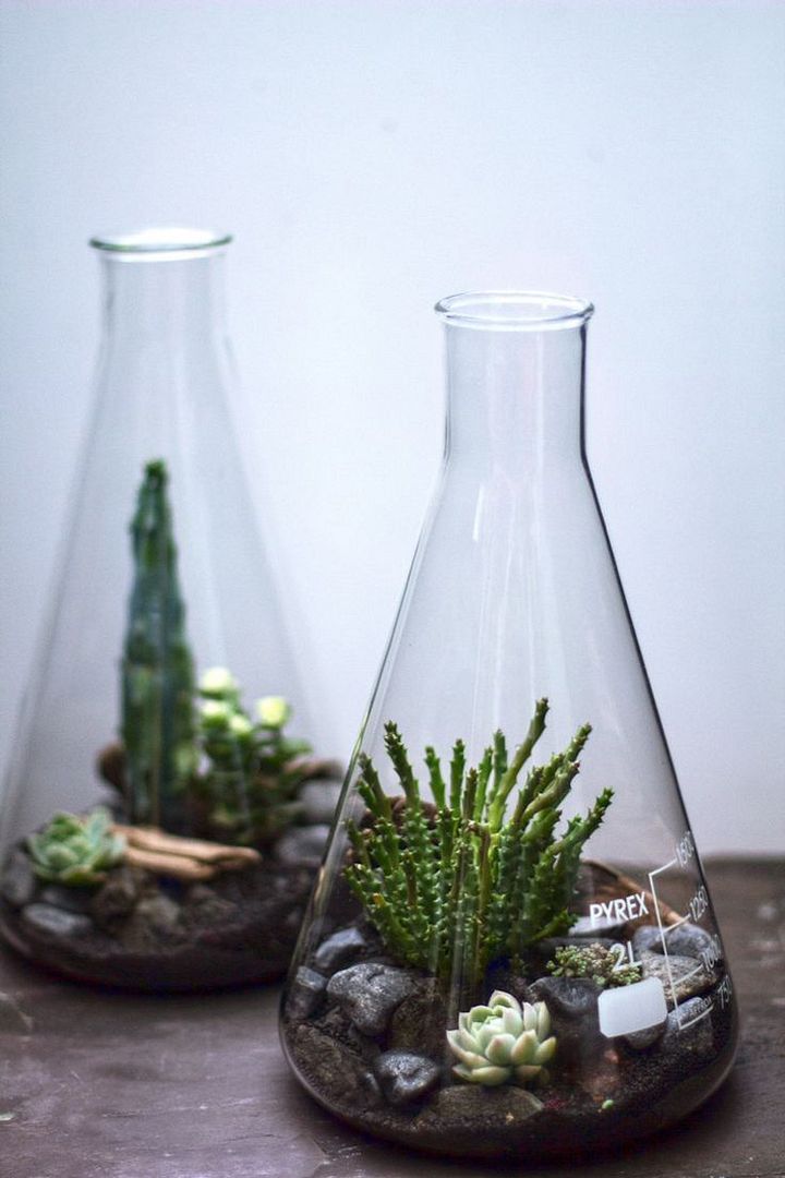photo 25-decorar-plantas-ideas-verde-casa-decoracion-vegetacion_zpsfcndxnyh.jpg