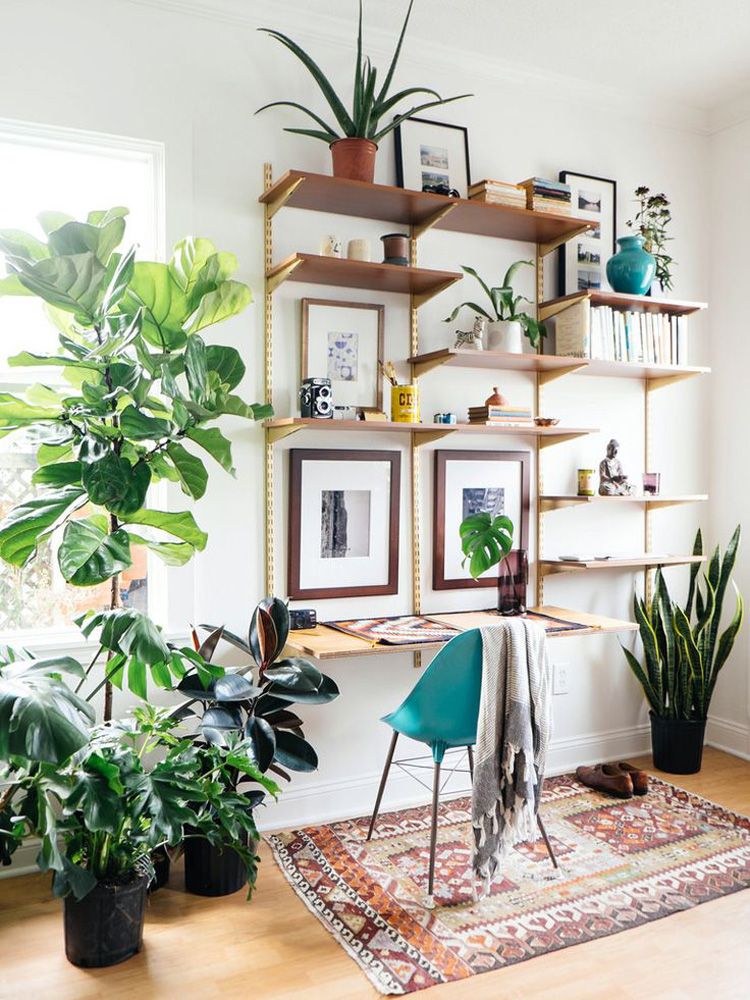 photo 26-decorar-plantas-ideas-verde-casa-decoracion-vegetacion_zpslw7zgtci.jpg