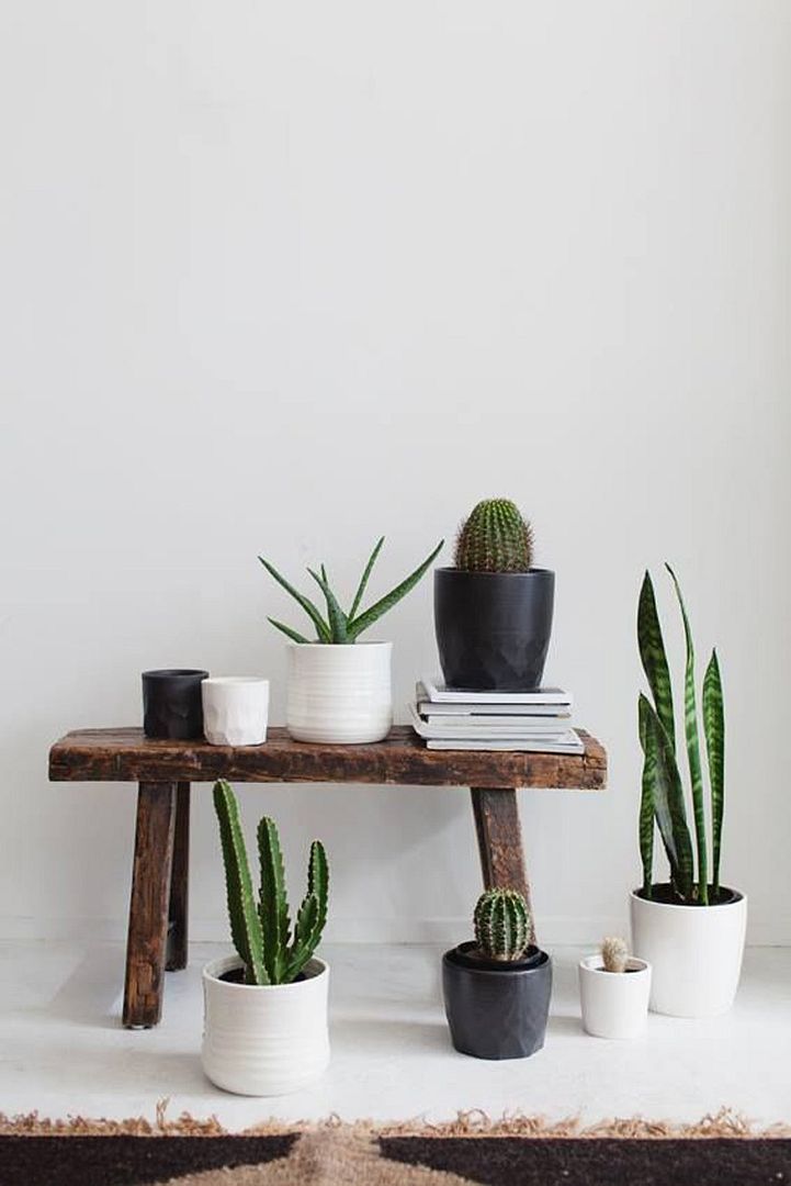 photo 27-decorar-plantas-ideas-verde-casa-decoracion-vegetacion_zpsgopn4ekz.jpg