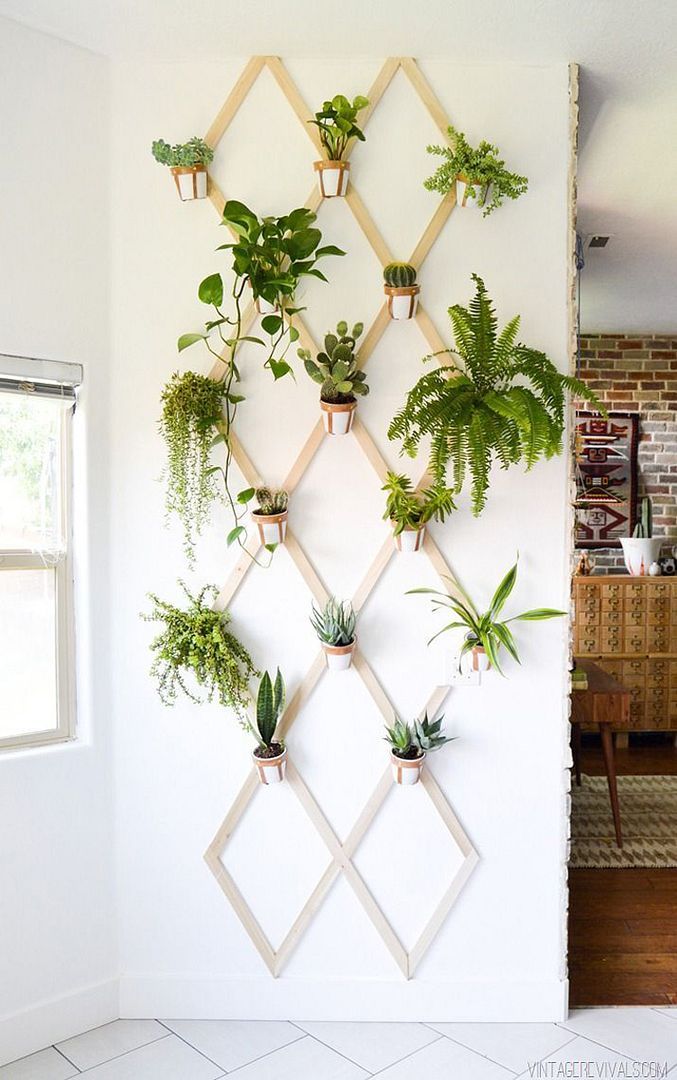  photo 28-decorar-plantas-ideas-verde-casa-decoracion-vegetacion_zpshfvtr40e.jpg