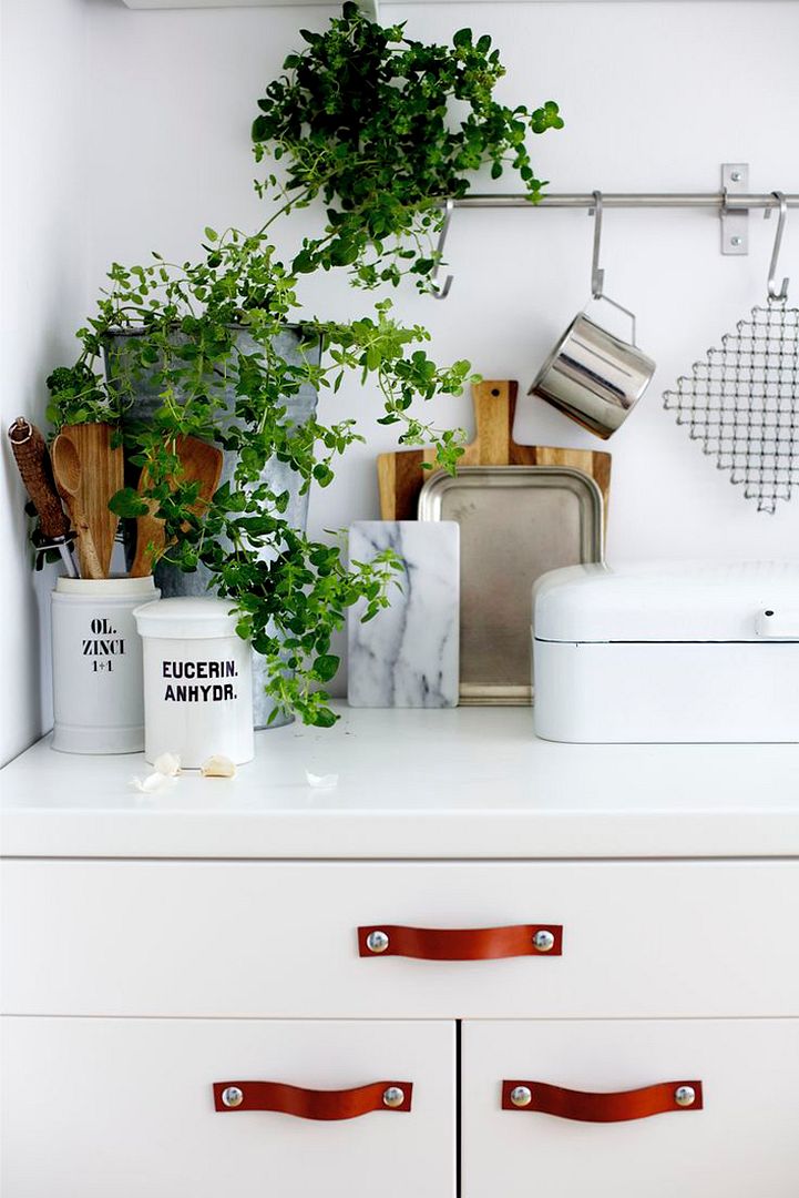 photo 3-decorar-plantas-ideas-verde-casa-decoracion-vegetacion_zpsd3wgglci.jpg