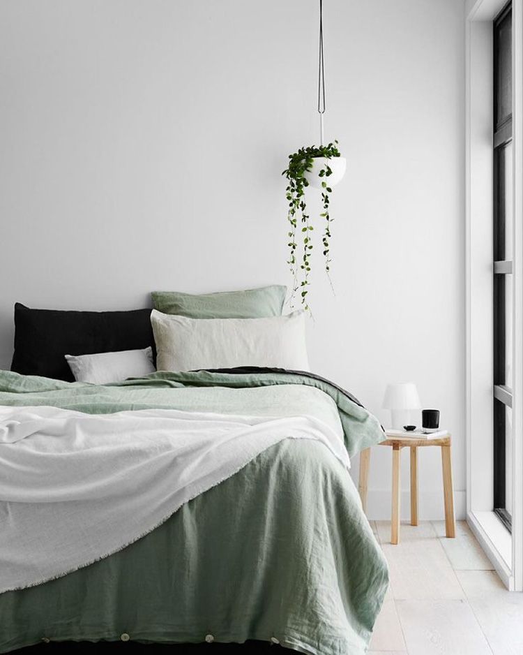 photo 30-decorar-plantas-ideas-verde-casa-decoracion-vegetacion_zpskfqyobtc.jpg