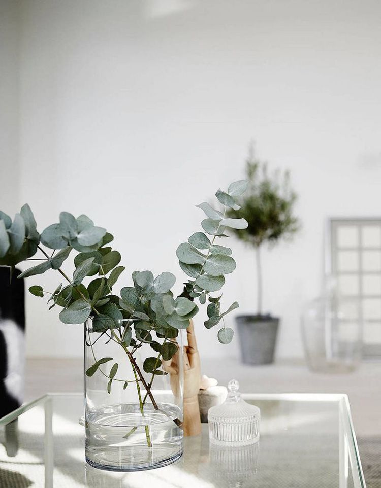 photo 31-decorar-plantas-ideas-verde-casa-decoracion-vegetacion_zpsjllcixuj.jpg