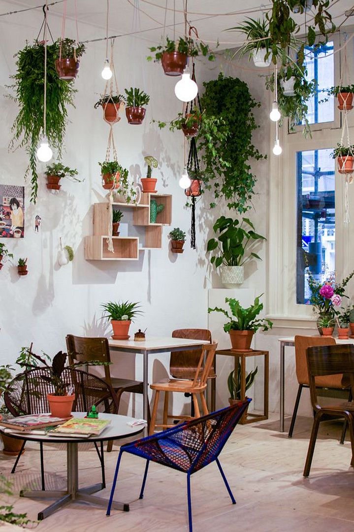 photo 37-decorar-plantas-ideas-verde-casa-decoracion-vegetacion_zpszfcyh2p6.jpg