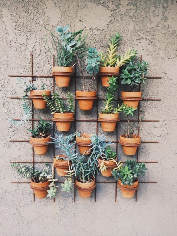 photo 4-decorar-plantas-ideas-verde-casa-decoracion-vegetacion_zpsdrqqkzr2.jpg