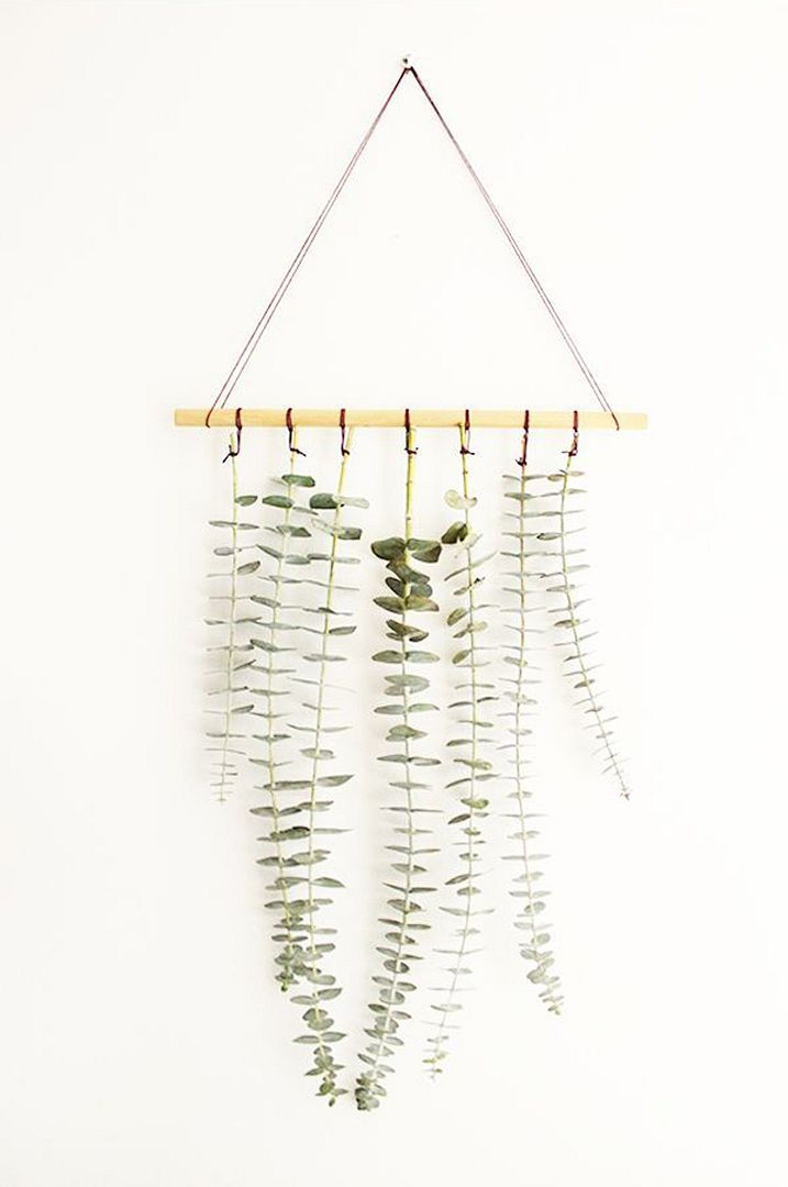 photo 40-decorar-plantas-ideas-verde-casa-decoracion-vegetacion_zpsfauufvgx.jpg