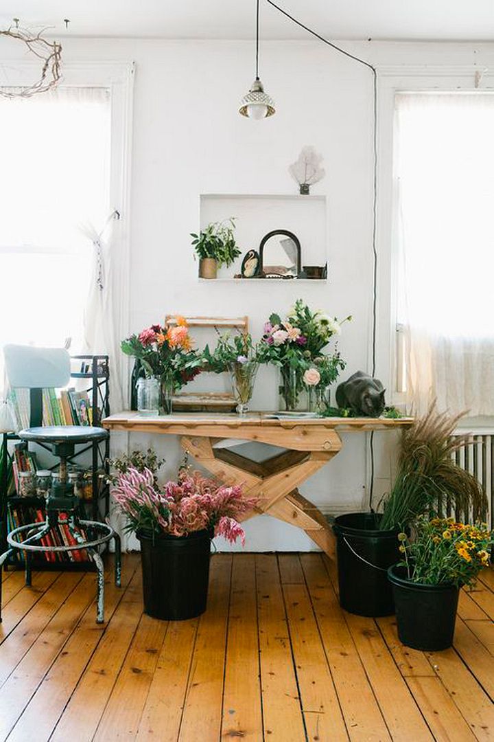 photo 5-decorar-plantas-ideas-verde-casa-decoracion-vegetacion_zpssqb1lxul.jpg