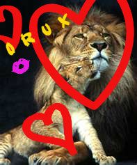 lion love by orux