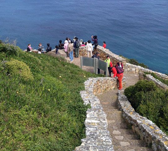 photo Cape-point_11_zps43242072.jpg