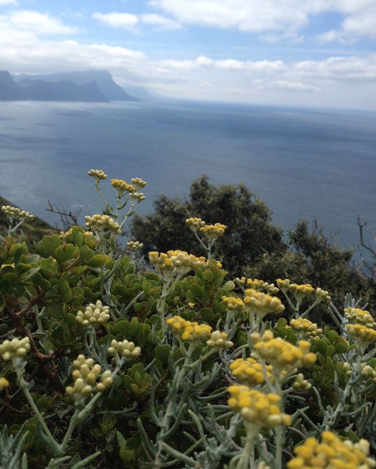 photo Cape-point_16_zpsff6476cb.jpg