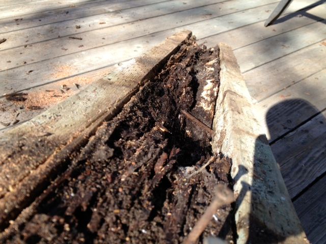 Deck Build - Pirate4x4.Com : 4x4 and Off-Road Forum