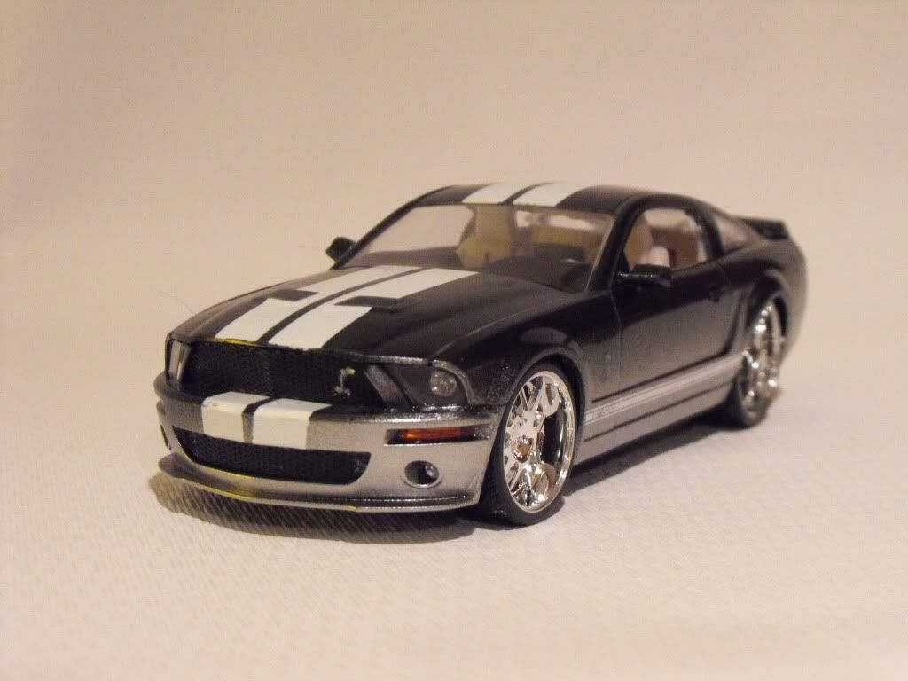 2011_0304supersnake20110001-1.jpg