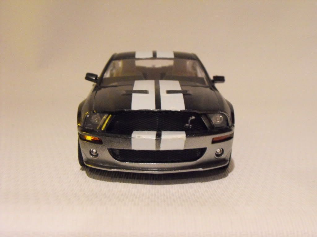 2011_0304supersnake20110003.jpg