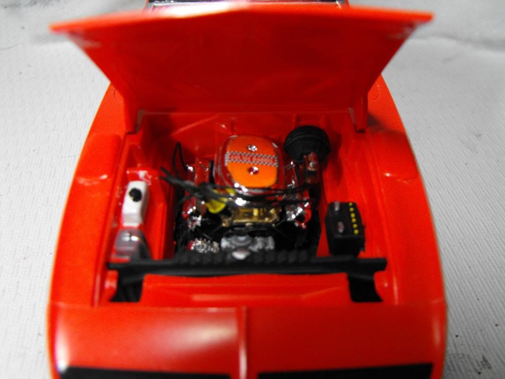 2012_11251970SUPERBIRD0010_zps2a3b1358.j