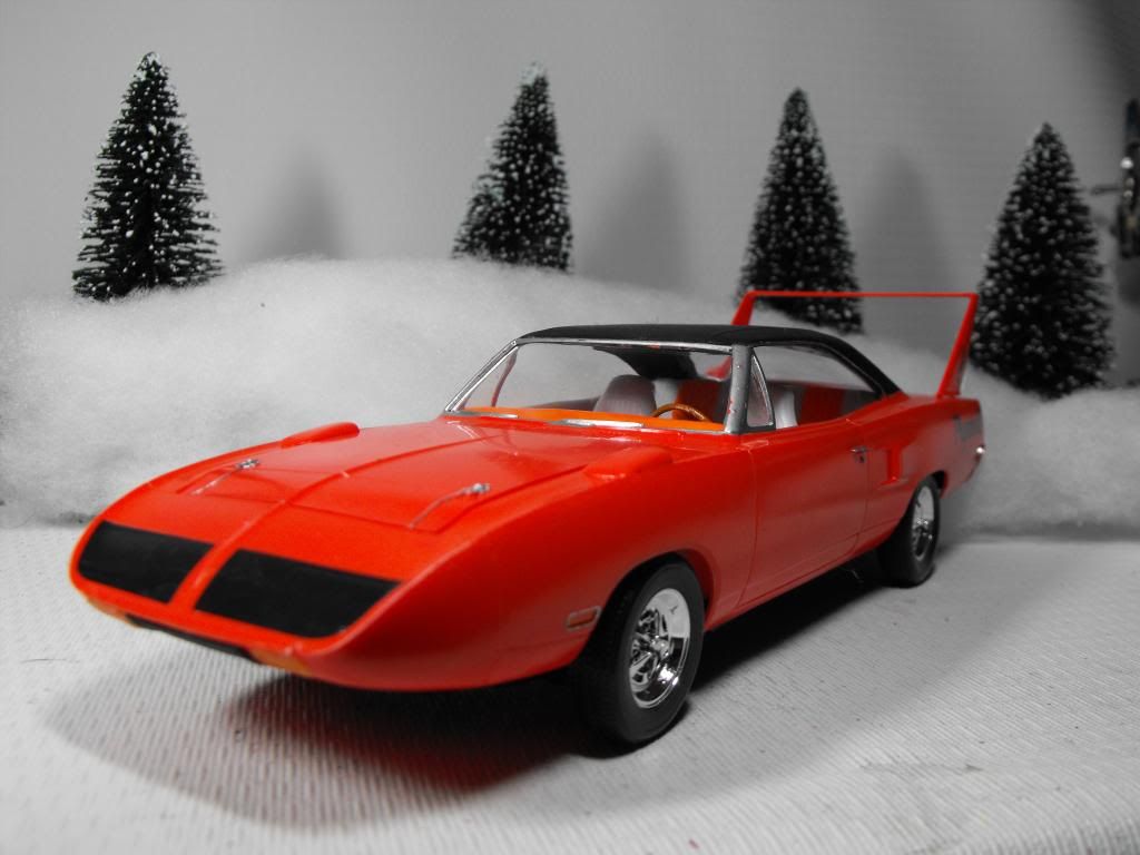 2012_11251970SUPERBIRD0019_zpsc49aa0a2.j