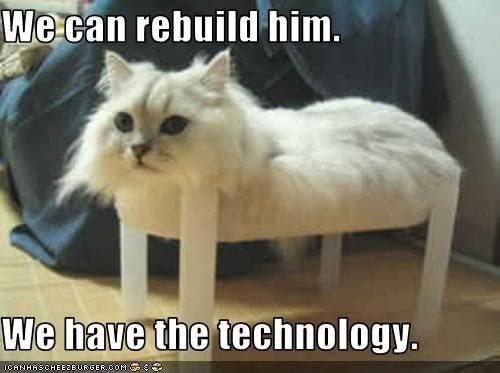 cat_legs_rebuild.jpg