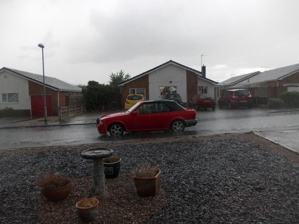  photo DSCN9715_zps764b87fa.jpg