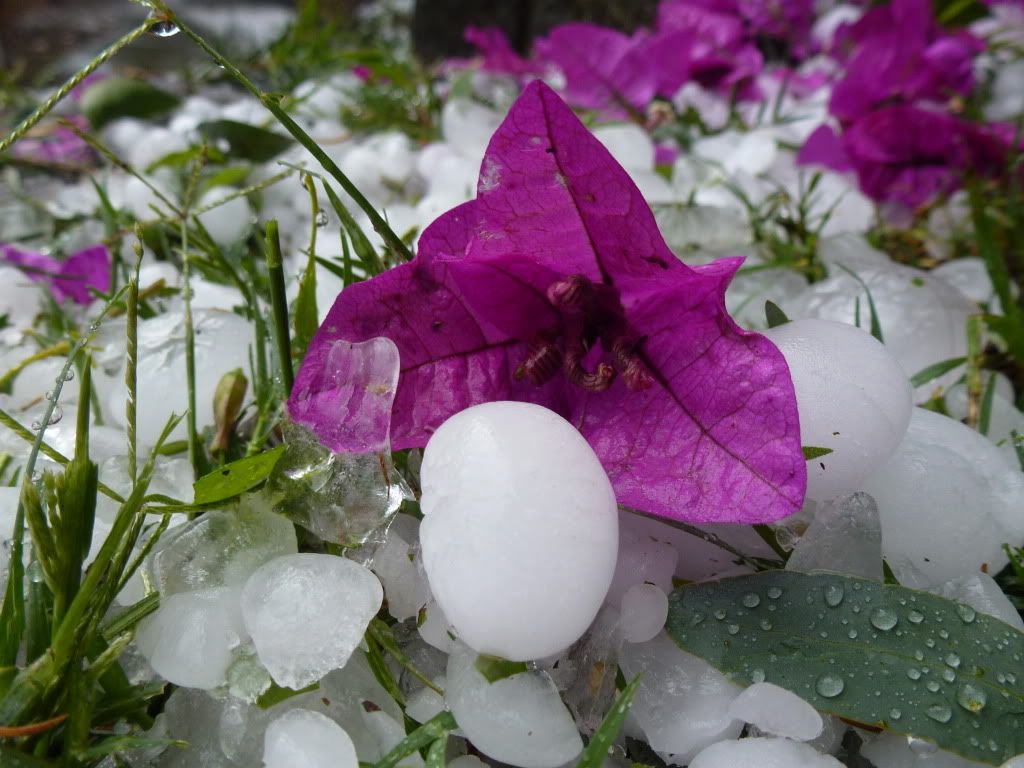 Hailstones3.jpg