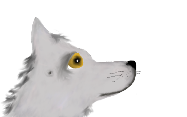 filename.png wolf picture by Caninez