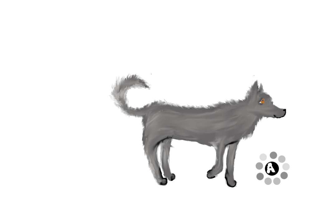 wolfbody.png wolf body picture by Caninez