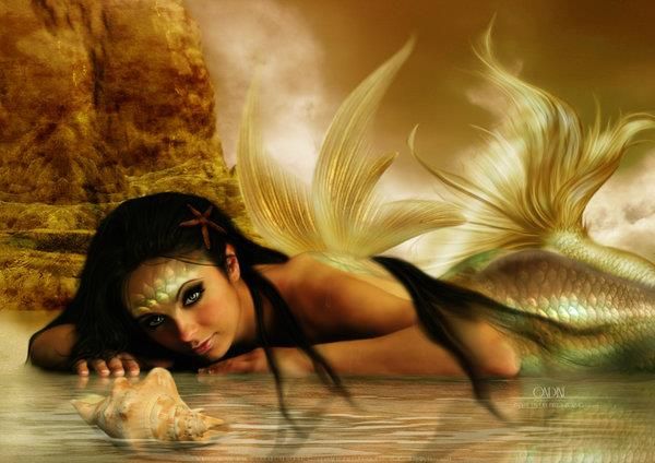 mermaid photo: Beached Beauty 376667_427767247274535_303548728_n.jpg