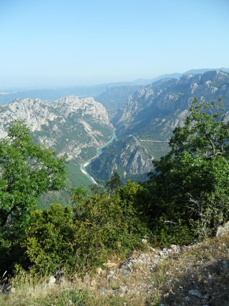 view