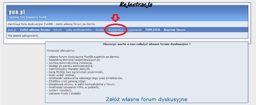 http://i1185.photobucket.com/albums/z352/OluSsiaax3/pun-1.jpg