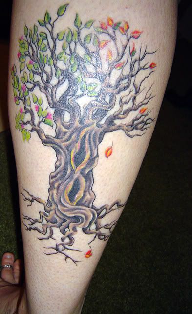 Tree tattoo A lot of people have been very curious about my tattoos