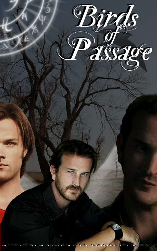 Birds of Passage -- cover image by cashay