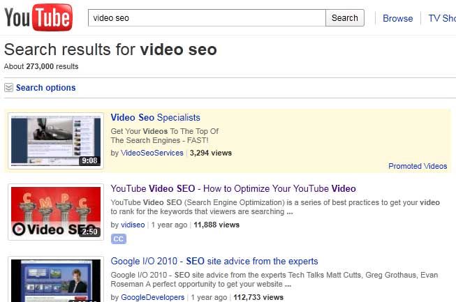 YouTube results for video seo